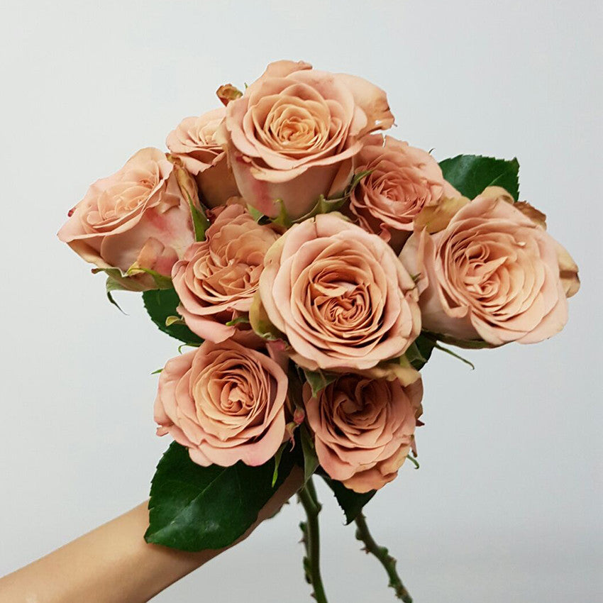 Cappuccino Roses Bouquet - Lou Flower Studio