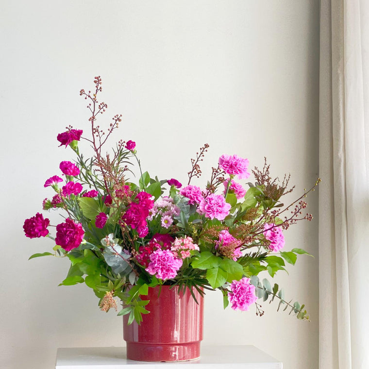 Fuchsia Prosperity