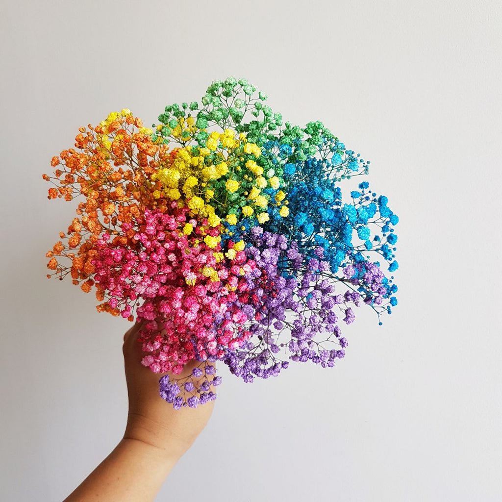 Rainbow Babybreath in a Jar - Lou Flower Studio