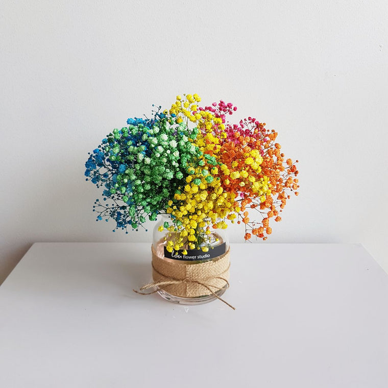 Rainbow Babybreath in a Jar - Lou Flower Studio