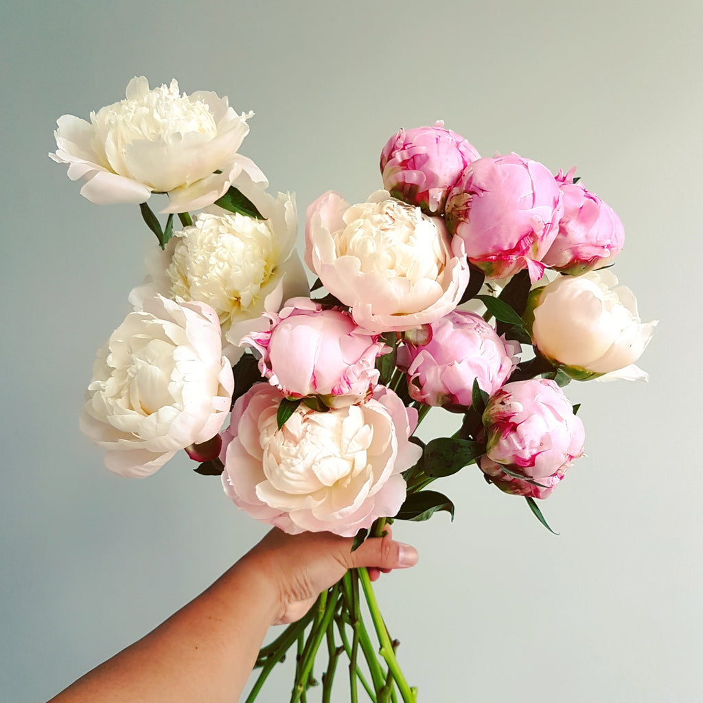 Gigantic Peony bouquet - Lou Flower Studio