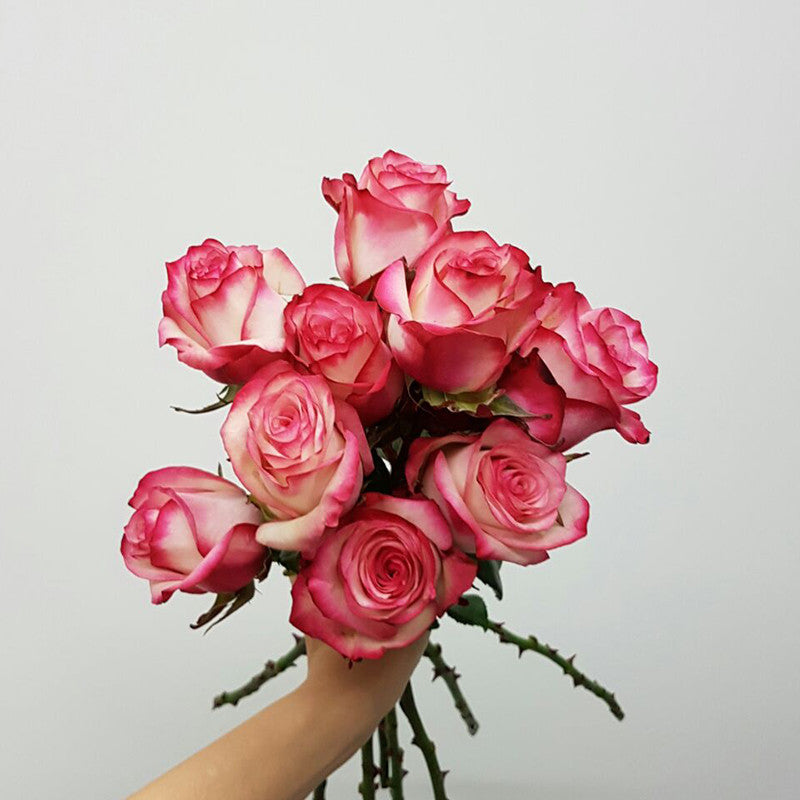 Pink Kenya Lush Bouquet - Lou Flower Studio