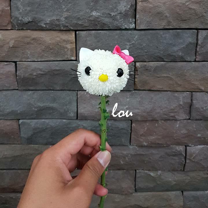 Hello Kitty Bouquet - Lou Flower Studio